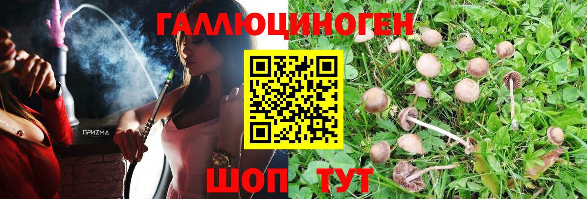 Псилоцибиновые грибы GOLDEN TEACHER Людиново