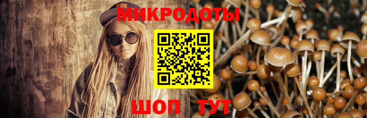 Людиново  Псилоцибиновые грибы MAGIC MUSHROOMS  Вход с VPN 