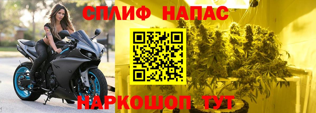 Шишки марихуана сатива  Шишки марихуана марихуана  МАРИХУАНА конопля  Бошки Шишки конопля  Вход с VPN  Людиново 