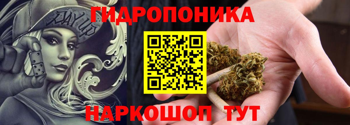 МАРИХУАНА конопля Людиново